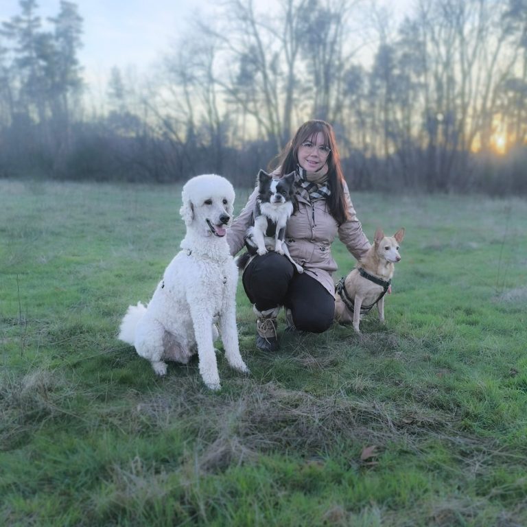 Hundeschule Lampertheim Stormydogs Hundetrainerin Ina von der Hundeschule Stormydogs , mit ihren Familienhunden beim Training im Alltag in Lampertheim, nähe Bürstadt.