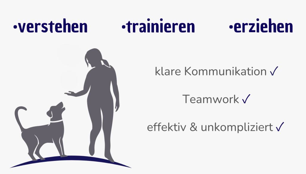 Hundeschule Lampertheim Hundeschule Lampertheim & Bürstadt Mannheim Worms Lorsch Hundetrainer in der Nähe, Welpenkurs und Verhaltensberatung Hund