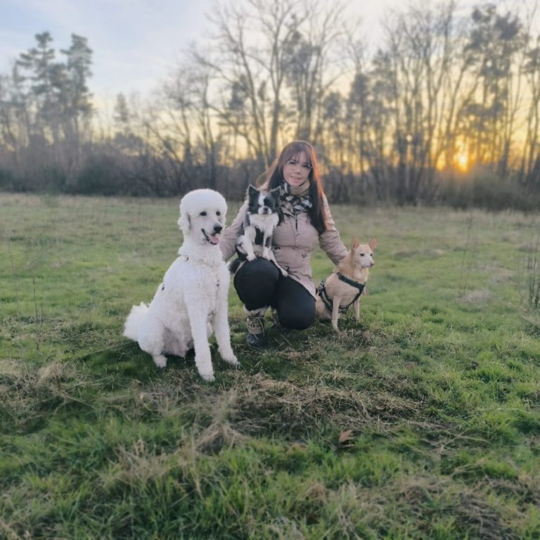 Hundeschule Lampertheim Stormydogs Hundetrainer Lampertheim der Hundeschule für Hunde und Welpen in der Nähe Bürstadt, Mannheim, Worms.